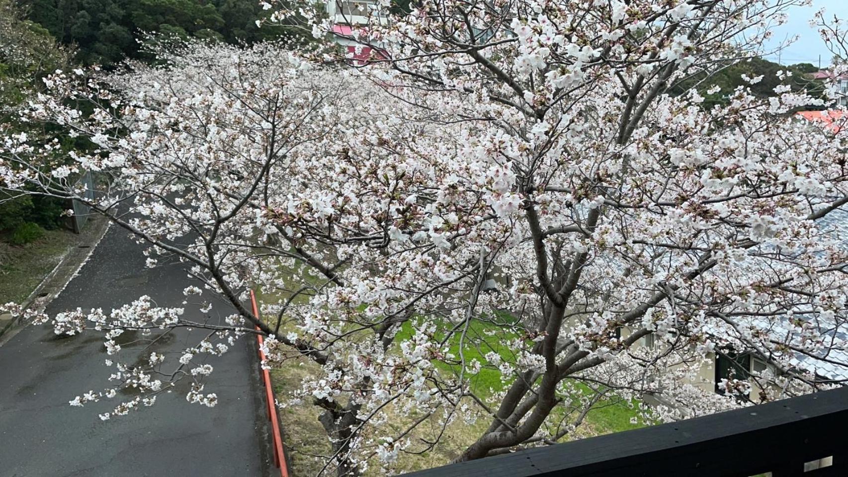 Shirahama Meiji Villa 외부 사진